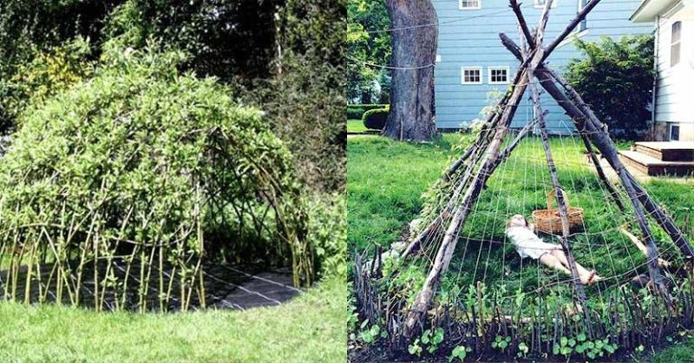 Try These Ancient Vegetable Growing Practices For A Better Harvest! - Featured image