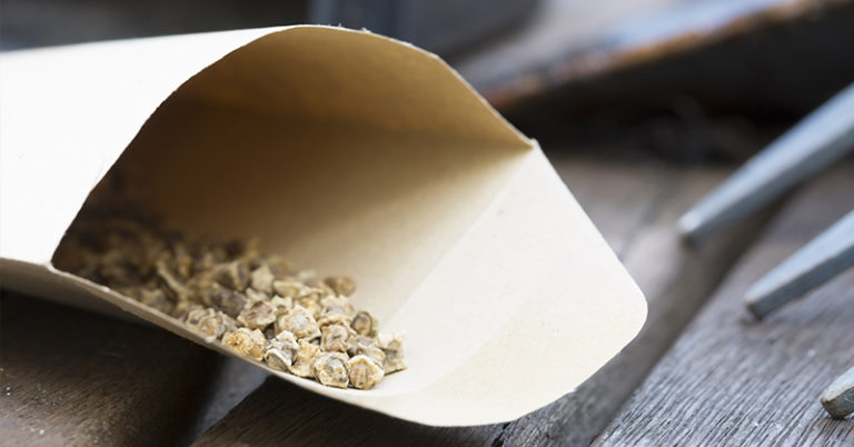 The Ugly Truth About “Pollinator Mix” Seed Packets Nobody Tells You - Featured image