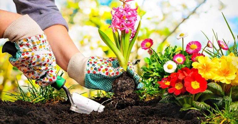 9 Gardening Tips That Will Help You Get Your Plants Ready for September - Featured image