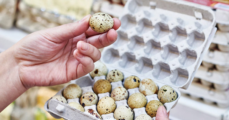 Where To Buy Quail Eggs Near You - Featured image