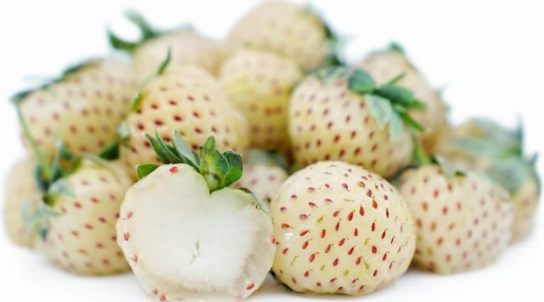 How To Grow Pineberries - Featured image