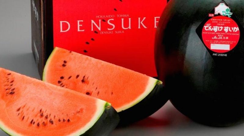 densuke watermelons