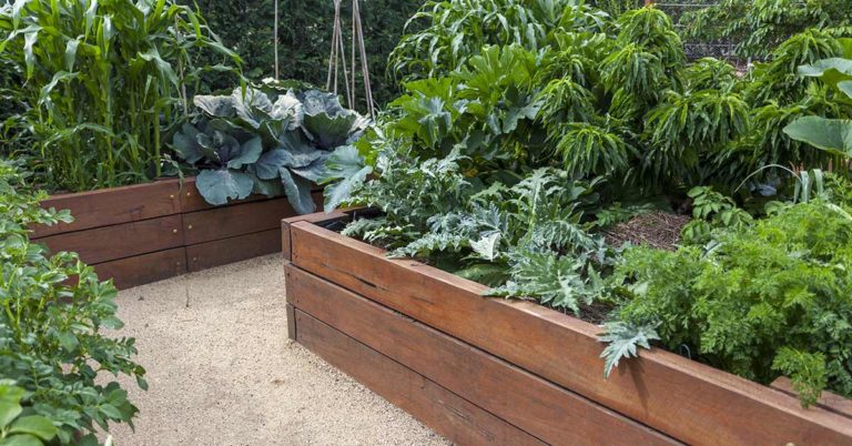 When to Plant Vegetables for Your Most Successful Garden Yet - Featured image