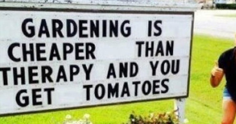 Funny Gardening Quotes To Get You In The Gardening Mood - Featured image