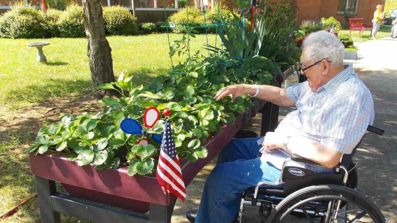 wheelchair friendly gardening