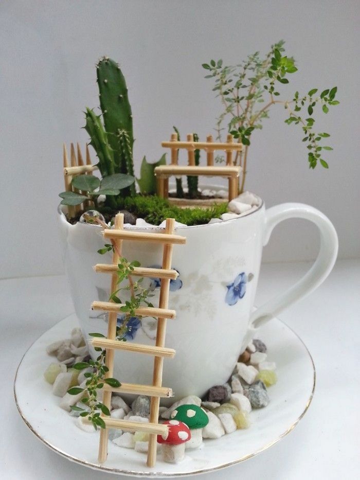 teacup garden
