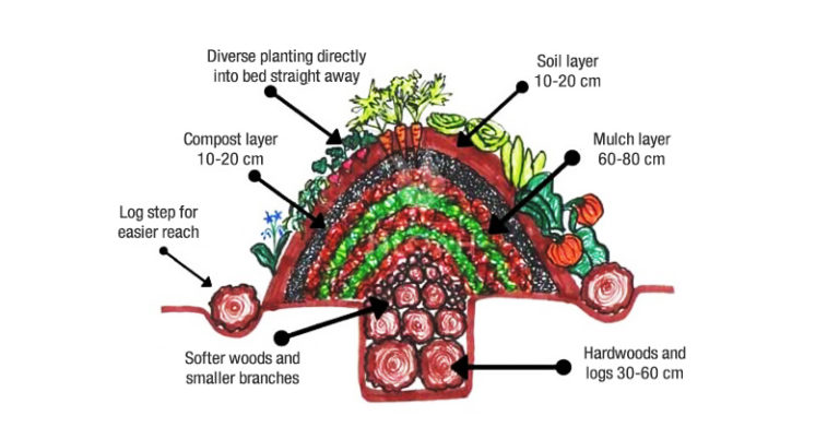 How to Build Hugelkultur Beds and Why You Need Them - Featured image