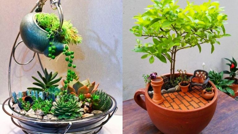 Teacup Gardens Are A Thing And They Are Adorable - Featured image