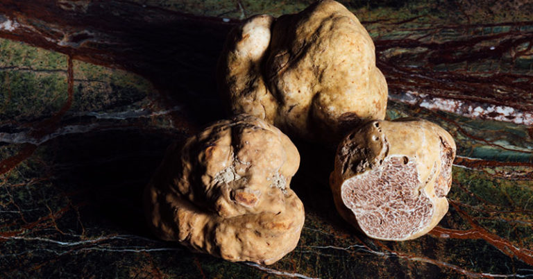 What Do Truffles Taste Like? - Featured image