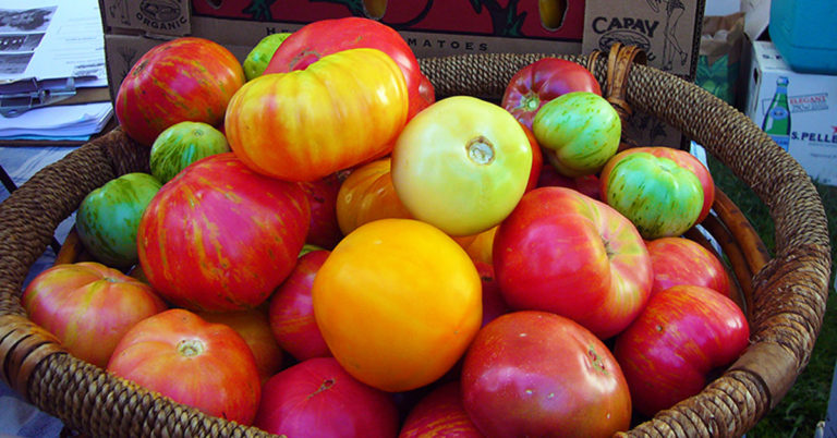 How To Quickly Ripen Green Tomatoes In Your Fall Garden - Featured image