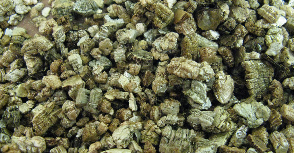 Everything You Need To Know About Vermiculite - Featured image