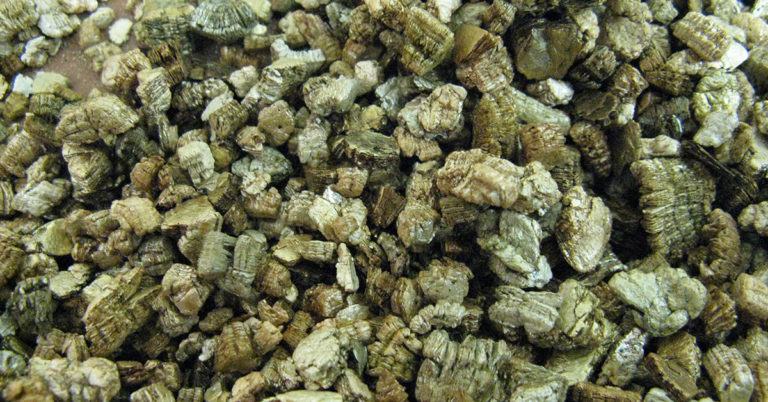 Everything You Need To Know About Vermiculite - Featured image