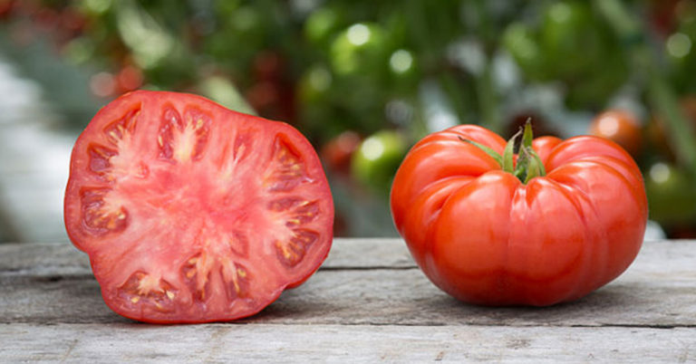 Beefsteak Tomato Growing Guide - Featured image