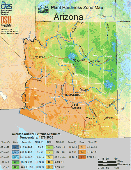 USDA hardiness zone map for Arizona