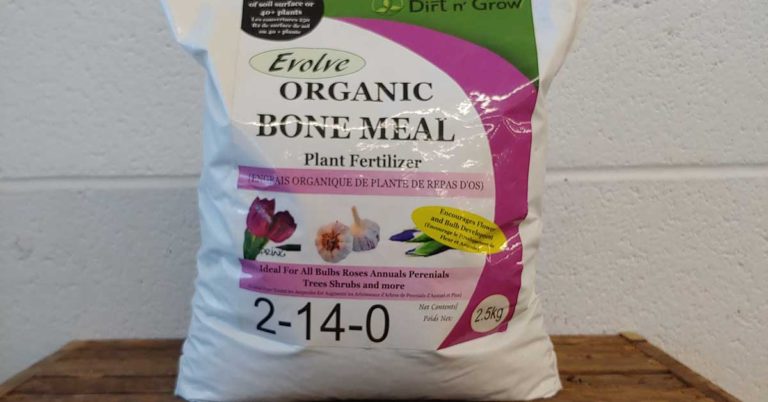 How To Use Bone Meal In Your Garden - Featured image