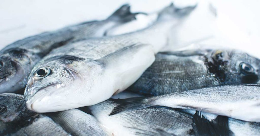 dead fish used for fish emulsion