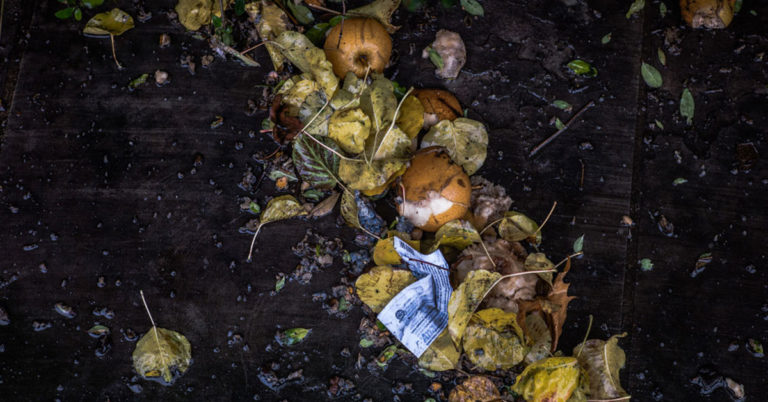 How Often Should You Turn Your Compost? - Featured image