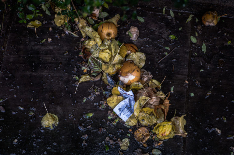 How to Plan a September Garden Cleanup - Featured image
