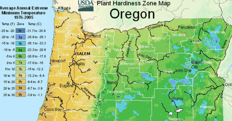 USDA Hardiness Zone Map For Oregon - Featured image