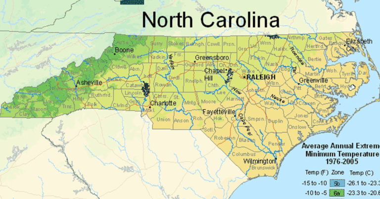 USDA Hardiness Zone Map For North Carolina - Featured image
