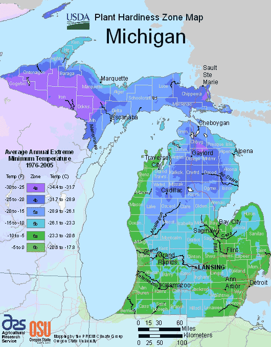 michigan usda hardiness zone map