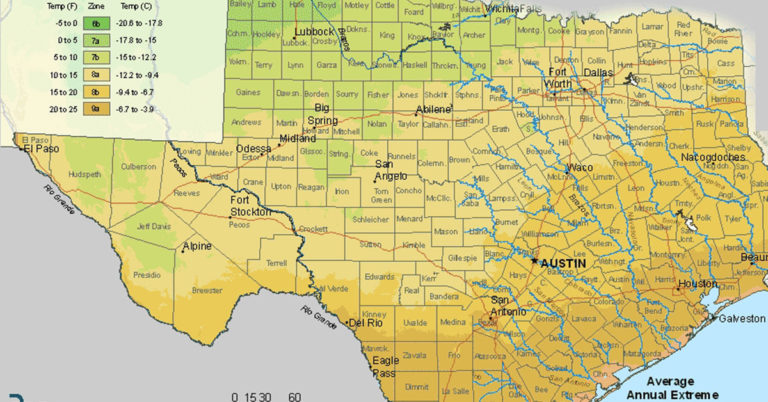 USDA Hardiness Zone Map For Texas - Featured image