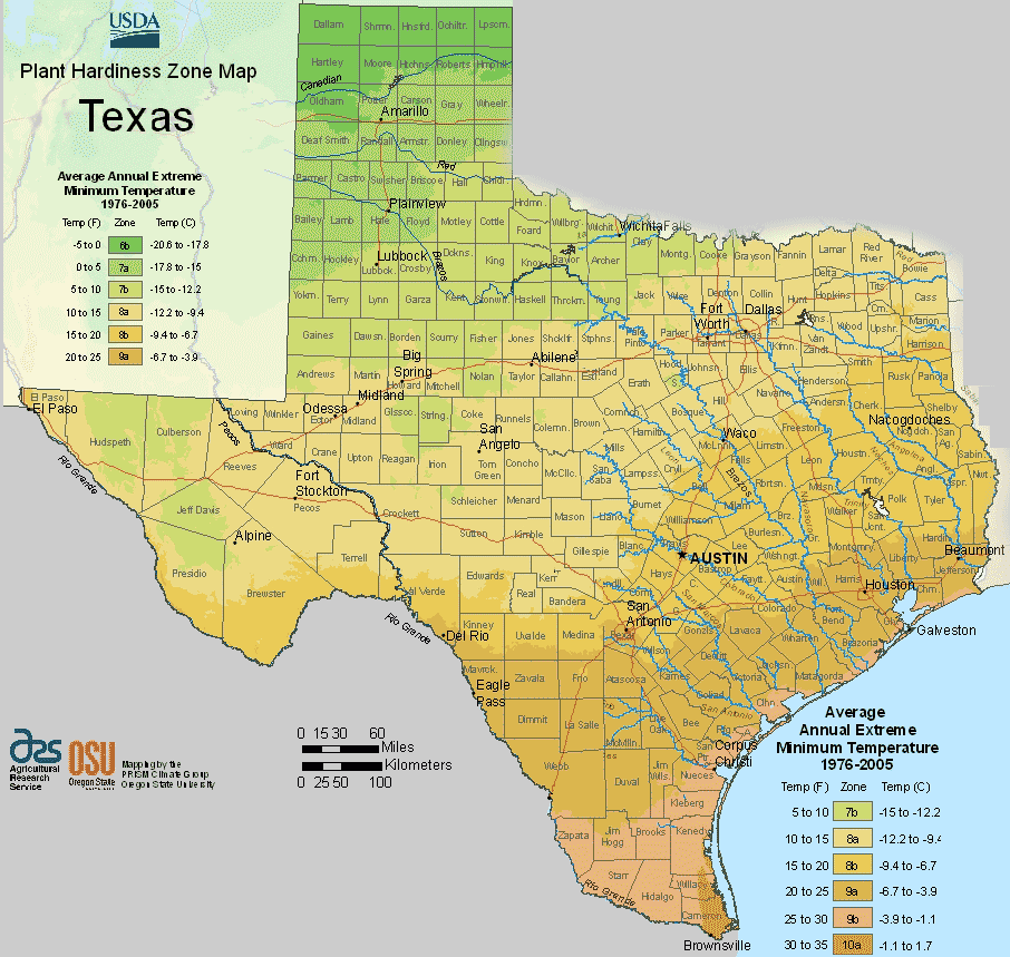 texas usda hardiness zone map