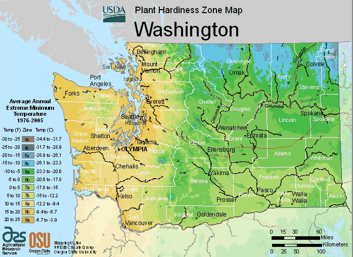 Washington USDA hardiness zone map