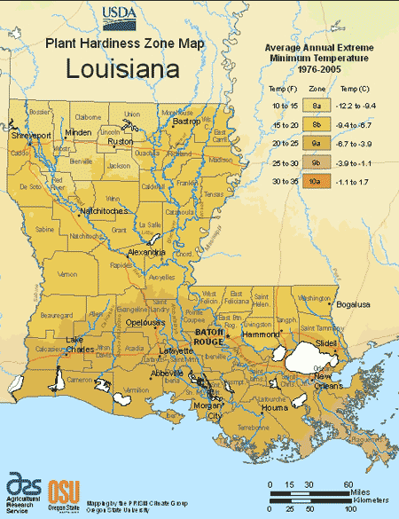 Louisiana planting hardiness zone