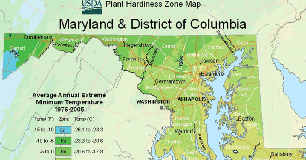 USDA Hardiness Zone Map For Maryland - Featured image
