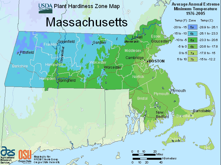 Massachusetts usda hardiness zones