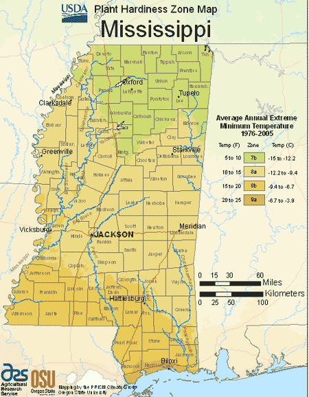 mississippi hardiness zones