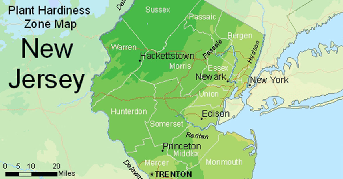 New Jersey usda hardiness zone map