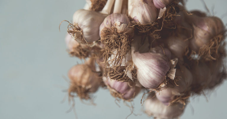 11 Best Practices for Growing Flavorful Garlic - Featured image