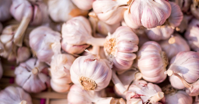When To Plant Garlic In Delaware - Featured image