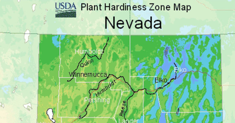 USDA Hardiness Zone Map For Nevada - Featured image