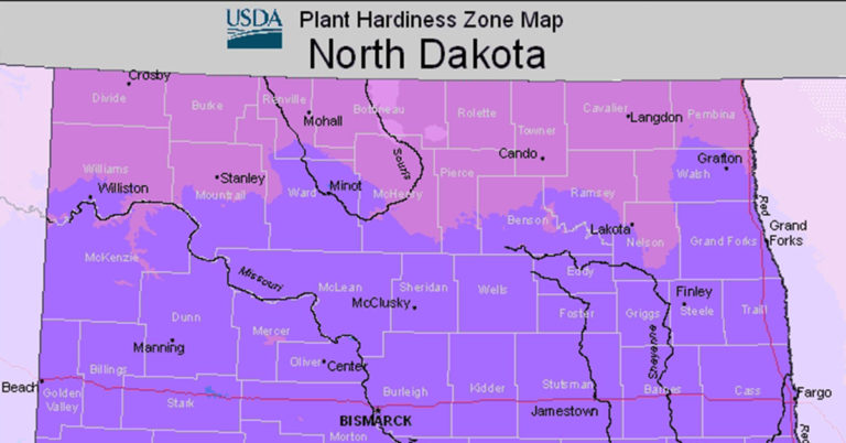 USDA Hardiness Zone Map For North Dakota - Featured image