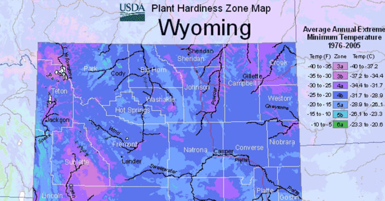 USDA Hardiness Zone Map For Wyoming - Featured image