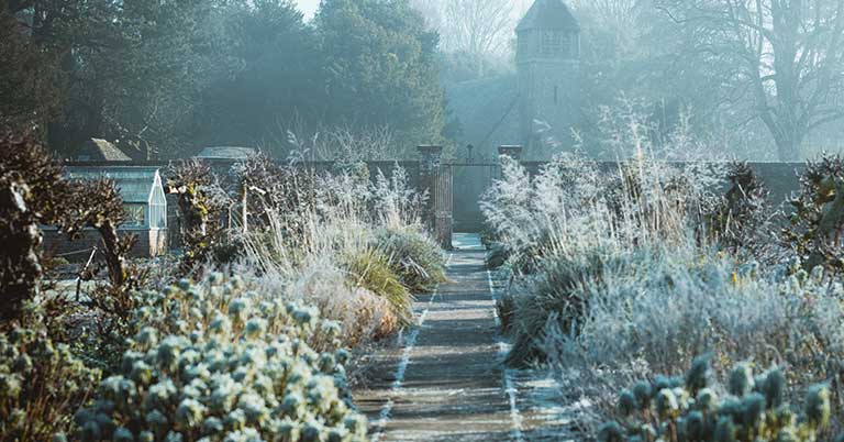 winter garden