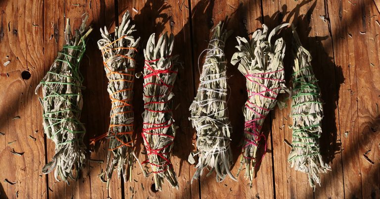 When And How To Harvest Sage - Featured image