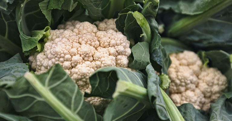 Best Fertilizer For Cauliflower | When To Feed Your Cauliflower - Featured image