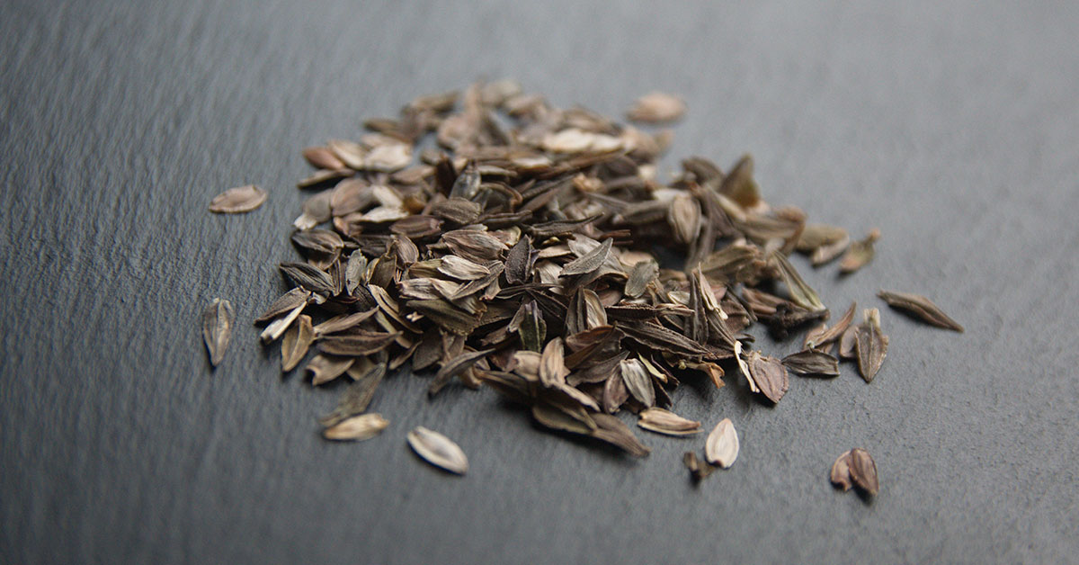 How To Harvest And Store Zinnia Seeds The Garden Magazine