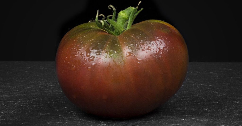 black tula tomato