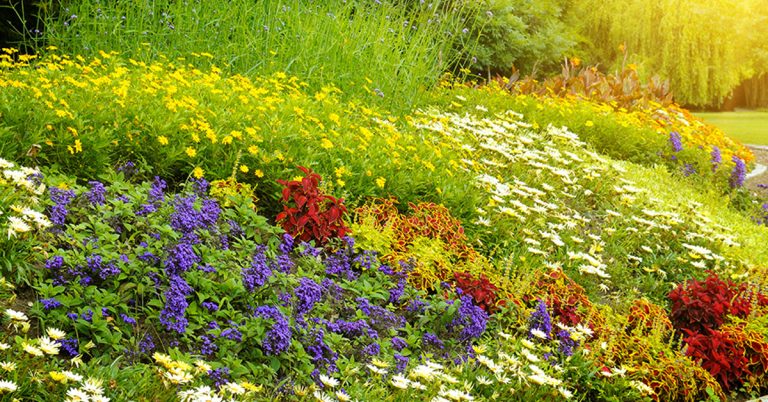 No More Manure: 10 Vegan Fertilizer Options For Your Garden - Featured image