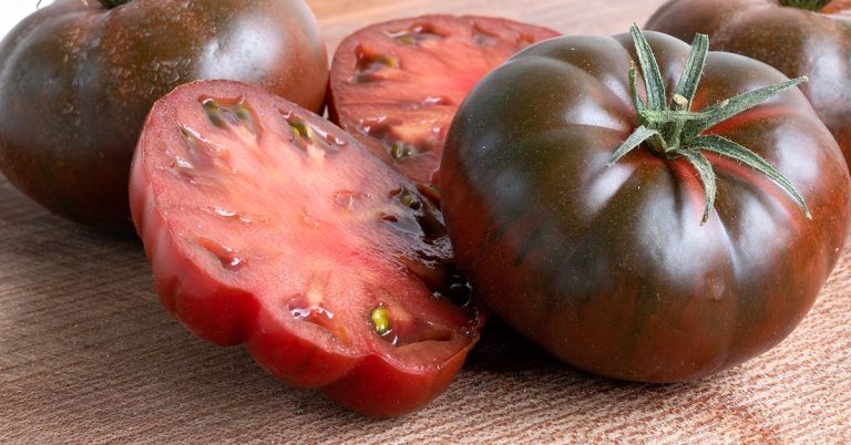 Pruden’s Purple Tomato Growing Guide - Featured image