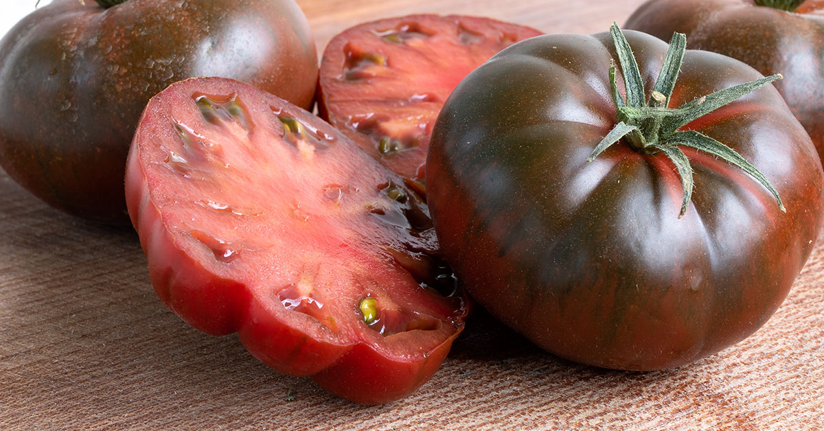 pruden's purple tomato