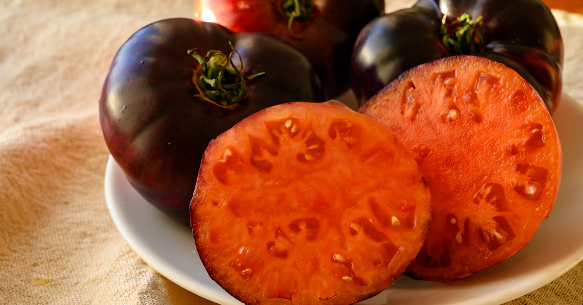 purple calabash tomato