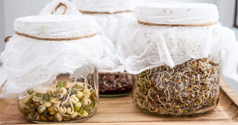 How To Grow Sprouts In A Jar - Featured image