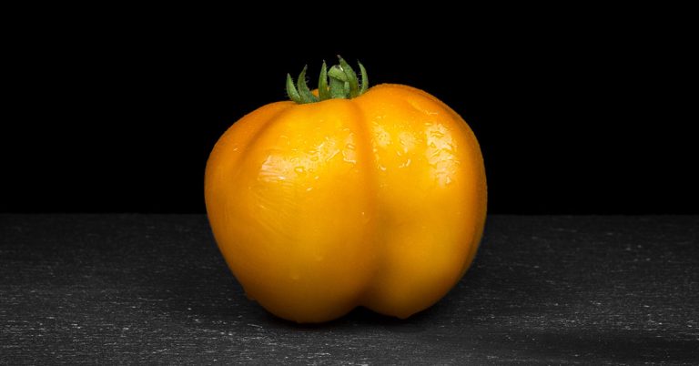 Yellow Stuffer Tomato Growing & Care - Featured image