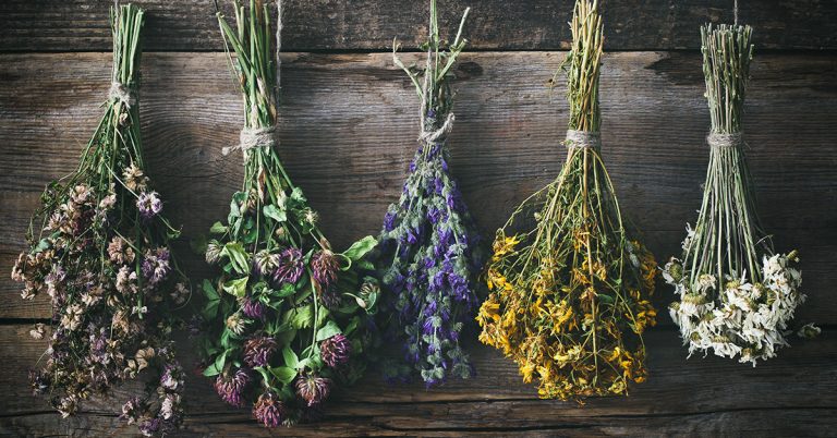 How To Dry Flowers And Store Them - Featured image